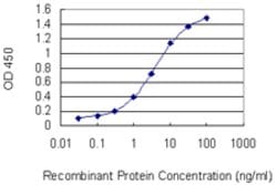 PKNOX2, Mouse anti-Human, Clone: 4B6, Abnova 100&mu;g; Unconjugated:Antibodies,