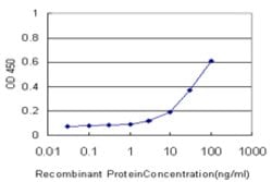 NEUROG2, Mouse anti-Human, Clone: 1B2, Abnova 100&mu;g; Unconjugated:Antibodies,