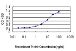 LEPRE1, Mouse anti-Human, Clone: 3C7, Abnova 100&mu;g; Unconjugated:Antibodies,