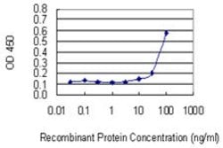 VPS16, Mouse anti-Human, Clone: 2F10, Abnova 100&mu;g; Unconjugated:Antibodies,