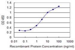 RBM15, Mouse anti-Human, Clone: 2C1, Abnova 100&mu;g; Unconjugated:Antibodies,