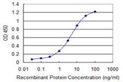 FNDC4, Mouse anti-Human, Clone: 7F9, Abnova 100&mu;g; Unconjugated:Antibodies,