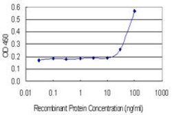 SLC30A5, Mouse anti-Human, Clone: 2E10, Abnova 50&mu;g; Unconjugated:Antibodies,