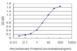 MARCKSL1, Mouse anti-Human, Clone: 8C8, Abnova 100&mu;g; Unconjugated:Antibodies,