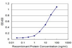 PRKRIP1, Mouse anti-Human, Clone: M1, Abnova 100&mu;g; Unconjugated:Antibodies,