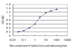 ISCA1, Mouse anti-Human, Clone: 2E9, Abnova 100&mu;g; Unconjugated:Antibodies,