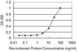 ASCC2, Mouse anti-Human, Clone: 3B2, Abnova 100 &mu;g | Buy Online | Abnova | Fisher Scientific