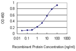 PCGF5, Mouse anti-Human, Clone: 3C10, Abnova 100&mu;g; Unconjugated:Antibodies,