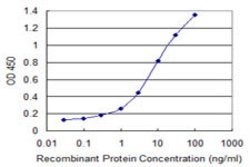 SYVN1, Mouse anti-Human, Clone: 4H4, Abnova 50&mu;g; Unconjugated:Antibodies,