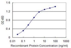 MCM8, Mouse anti-Human, Clone: 1F9, Abnova 100&mu;g; Unconjugated:Antibodies,