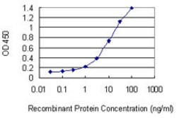 HSH2D, Mouse anti-Human, Clone: 1D6, Abnova 100 &mu;g | Buy Online | Abnova | Fisher Scientific