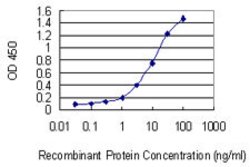ABCC11, Mouse anti-Human, Clone: 4H6, Abnova 100&mu;g; Unconjugated:Antibodies,