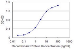 CHURC1, Mouse anti-Human, Clone: 2F9, Abnova 100&mu;g; Unconjugated:Antibodies,