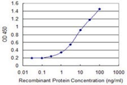 DEPDC7, Mouse anti-Human, Clone: 4D9, Abnova 100&mu;g; Unconjugated:Antibodies,