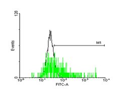 MRGPRX2, Mouse anti-Human, Polyclonal Antibody, Abnova 50&mu;g; Unconjugated:Anticuerpos