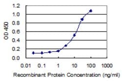 GIPC3, Mouse anti-Human, Clone: 8H8, Abnova 100&mu;g; Unconjugated:Antibodies,