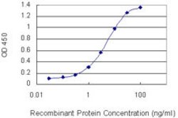 B3GALT6, Mouse anti-Human, Clone: 3E5, Abnova 100&mu;g; Unconjugated:Antibodies,
