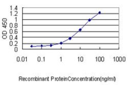COMMD7, Mouse anti-Human, Clone: 1B9, Abnova 100&mu;g; Unconjugated:Antibodies,