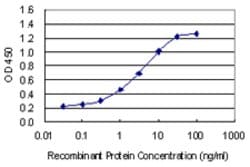 OTOS, Mouse anti-Human, Clone: 6C6, Abnova 100&mu;g; Unconjugated:Antibodies,