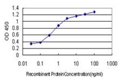 COMMD1, Mouse anti-Human, Clone: 2A12, Abnova 100&mu;g; Unconjugated:Antibodies,