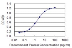 CNTN4, Mouse anti-Human, Clone: 4B10, Abnova 100&mu;g; Unconjugated:Antibodies,