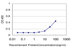 HIPK1, Mouse anti-Human, Clone: 4C2, Abnova 100&mu;g; Unconjugated:Antibodies,