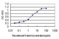 LNX2, Mouse anti-Human, Clone: 4F7, Abnova 100&mu;g; Unconjugated:Anticorps,