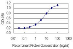 HKR1, Mouse anti-Human, Clone: 8E5, Abnova 100 &mu;g | Buy Online | Abnova | Fisher Scientific
