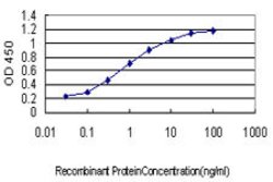 STON1-GTF2A1L, Mouse anti-Human, Clone: 5F12, Abnova 100&mu;g; Unconjugated:Antibodies,
