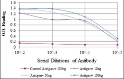 RUNX1, Mouse anti-Human, Clone: 5A1, Abnova 100 &mu;L | Buy Online | Abnova | Fisher Scientific