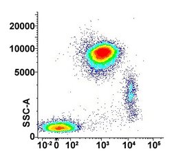 FCGR1A, Mouse anti-Human, APC, Clone: 10.1, Abnova 100 Reactions; APC:Antibodies,