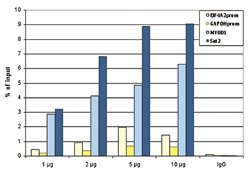 Histone H3 pan monoclonal antibody, Abnova 50&mu;g; Unconjugated:Antibodies,