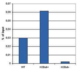 Histone H2B (K123ub) monoclonal antibody, Abnova 50&mu;g; Unconjugated:Antibodies,