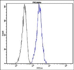 PRKCA, Rabbit anti-Human, FITC, Clone: D22-G, Abnova 100 Reactions; FITC:Antibodies,
