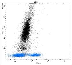 CD8A, Rabbit anti-Human, FITC, Clone: N21-G, Abnova 100 Reactions; FITC:Antibodies,