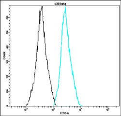 MAPK11, Rabbit anti-Human, FITC, Clone: P12-E, Abnova 100 Reactions; FITC:Antibodies,