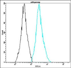 MAPK12, Rabbit anti-Human, FITC, Clone: Q11-T, Abnova 100 Reactions; FITC:Antibodies,