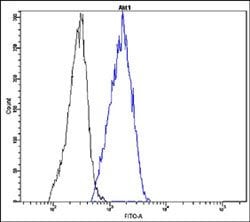 AKT1, Rabbit anti-Human, FITC, Clone: V19-T, Abnova 100 Reactions; FITC:Antibodies,