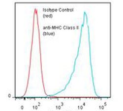 MHC Class II, Mouse anti-Human, Clone: TDR31.1, Abnova 50&mu;g; Unconjugated:Antibodies,