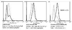 Nitrotryptophan, Mouse anti-Human, Biotin, Clone: 2D12, Abnova 100&mu;g;