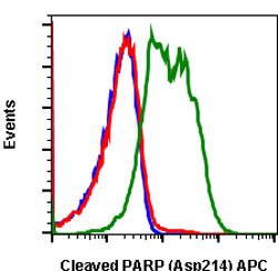 PARP1, Rabbit anti-Human, APC, Clone: H8, Abnova 100 Reactions; APC:Antibodies,