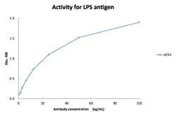 Legionella pneumophila LPS (Serogroup 1), Mouse anti-L. pneumophila, Clone: