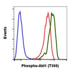 AKT1, Rabbit anti-Human, Clone: G12, Abnova 200&mu;L; Unconjugated:Antibodies,
