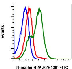 H2AFX, Rabbit anti-Human, FITC, Clone: 1E4, Abnova 10 Reactions; FITC:Antibodies,