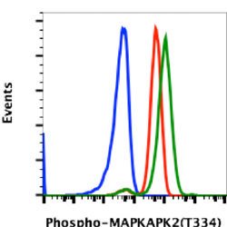 MAPKAPK2, Rabbit anti-Human, Clone: H2, Abnova 20 &mu;L | Buy Online | Abnova | Fisher Scientific
