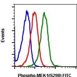 MAP2K1, Rabbit anti-Human, FITC, Clone: H8, Abnova 10 Reactions | Buy Online | Abnova Corporation | Fisher Scientific