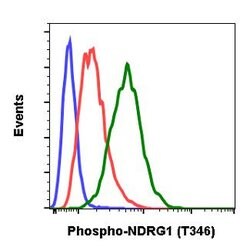 NDRG1, Rabbit anti-Human, Clone: F5, Abnova 20&mu;L; Unconjugated:Antibodies,