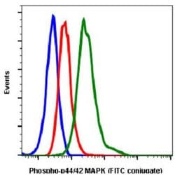 MAPK1, Rabbit anti-Human, FITC, Clone: A11, Abnova 10 Reactions; FITC:Antibodies,
