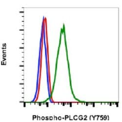 PLCG2, Rabbit anti-Human, FITC, Clone: G3, Abnova 10 Reactions; FITC:Antibodies,