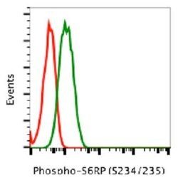 RPS6, Rabbit anti-Human, PE, Clone: R3A2, Abnova 100 Reactions; PE:Antibodies,